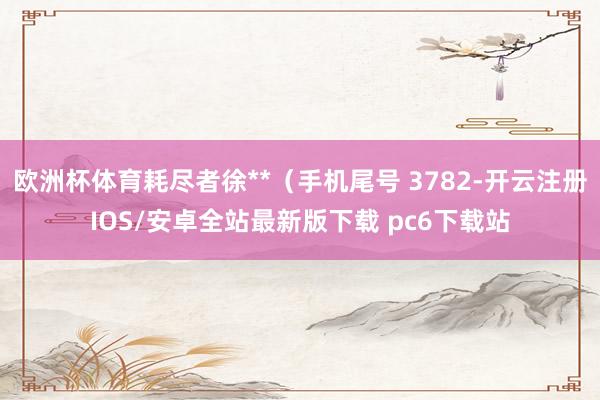 欧洲杯体育耗尽者徐**（手机尾号 3782-开云注册IOS/安卓全站最新版下载 pc6下载站