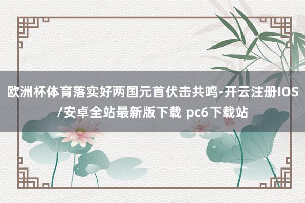 欧洲杯体育落实好两国元首伏击共鸣-开云注册IOS/安卓全站最新版下载 pc6下载站