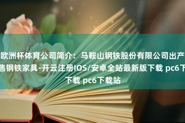 欧洲杯体育公司简介：马鞍山钢铁股份有限公司出产和销售钢铁家具-开云注册IOS/安卓全站最新版下载 pc6下载站