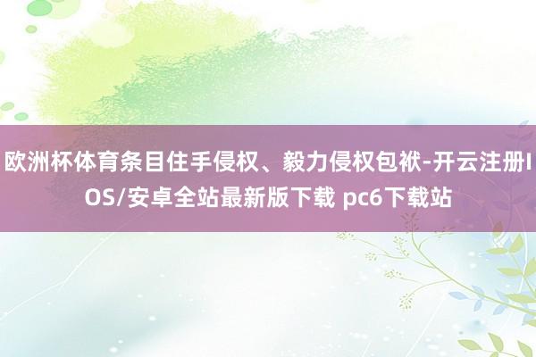 欧洲杯体育条目住手侵权、毅力侵权包袱-开云注册IOS/安卓全站最新版下载 pc6下载站