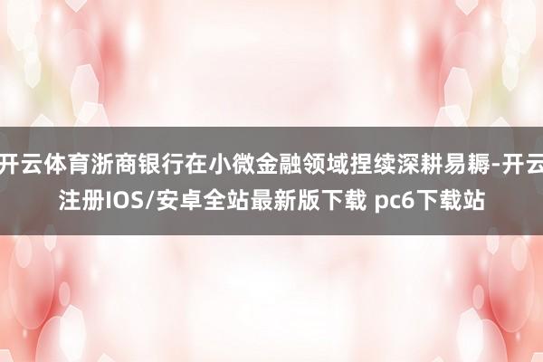 开云体育浙商银行在小微金融领域捏续深耕易耨-开云注册IOS/安卓全站最新版下载 pc6下载站