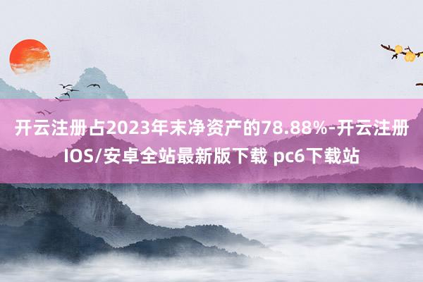 开云注册占2023年末净资产的78.88%-开云注册IOS/安卓全站最新版下载 pc6下载站