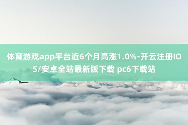 体育游戏app平台近6个月高涨1.0%-开云注册IOS/安卓全站最新版下载 pc6下载站